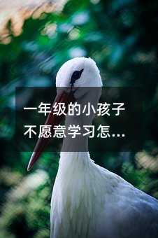 一年級的小孩子不愿意學習怎么辦?