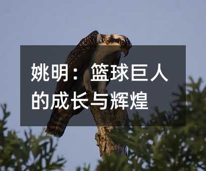 Ҧ�����@����˵ĳ��L�c�x��