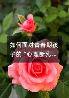 如何面對(duì)青春期孩子的“心理斷乳期”?