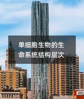 單細胞生物的生命系統(tǒng)結(jié)構(gòu)層次