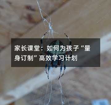 LnãΞ麢ӡӆơЧWӋ