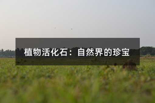 ֲʯȻ䌚