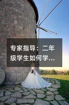 專家指導:二年級學生如何學好奧數(shù)