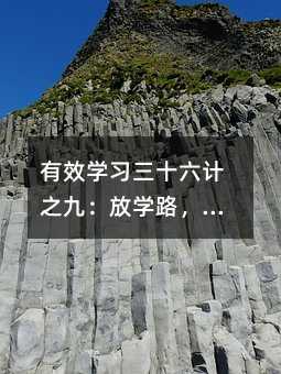 ЧW(xu)(x)ʮӋ(j)֮ţŌW(xu)·Α