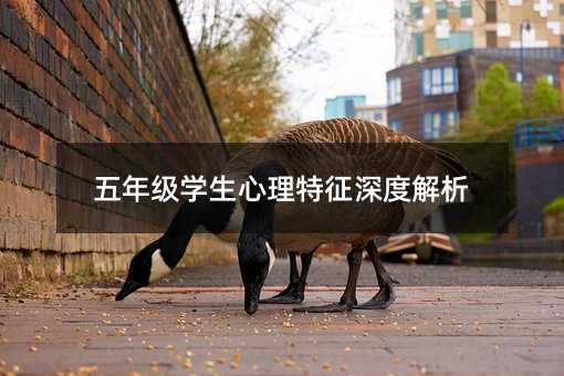 꼉(j)W(xu)Ƚ