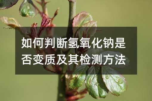 如何判斷氫氧化鈉是否變質及其檢測方法