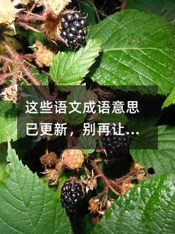 這些語文成語意思已更新,別再讓孩子用錯了!