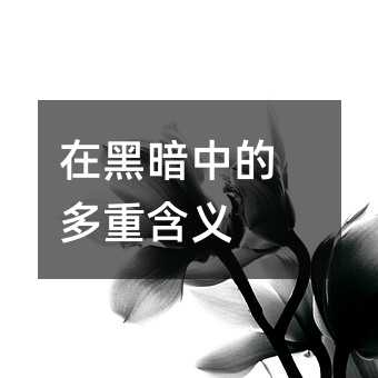在黑暗中的多重含義