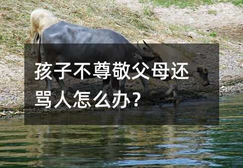 孩子不尊敬父母還罵人怎么辦?
