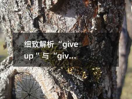 細(xì)致解析 “give up“ 與 “give up on“ 的區(qū)別