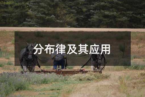 分布律及其應用