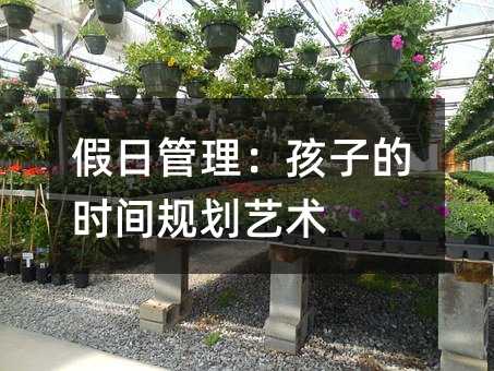 假日管理:孩子的時間規劃藝術