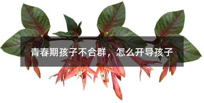 青春期孩子不合群,怎么開導孩子