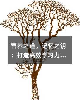 營養之道,記憶之鑰:打造高效學習力的膳食指南