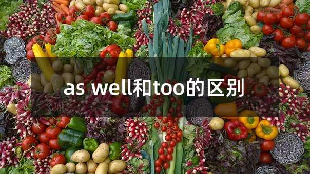 as well和too的區別