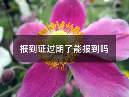 報到證過期了能報到嗎