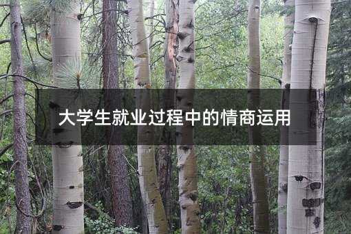 大學生就業過程中的情商運用