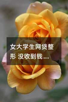 女大學生網貸整形 沒收到錢沒整形卻被催還款