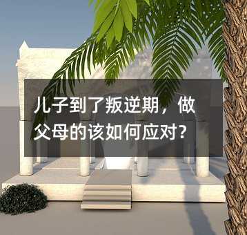 兒子到了叛逆期,做父母的該如何應對?