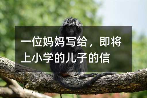 һλ(xi)oСW(xu)ăӵ