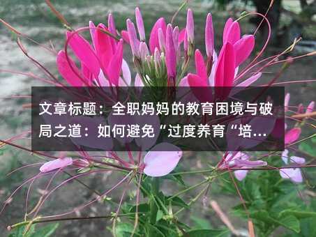 �����}��ȫ�����Ľ��������c�ƾ�֮������α��⡰�^���B�������B��������