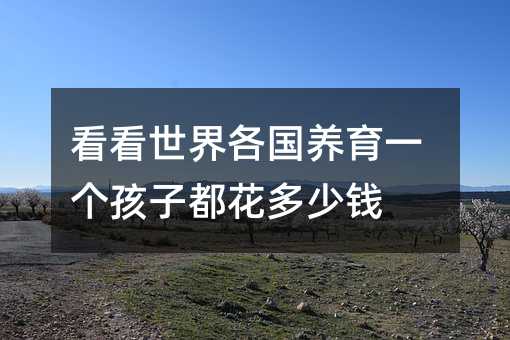 看看世界各國養育一個孩子都花多少錢