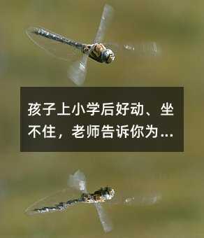 孩子上小學(xué)后好動(dòng)、坐不住,老師告訴你為什么