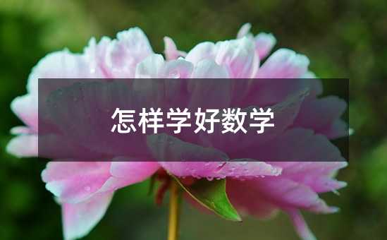 怎樣學好數(shù)學