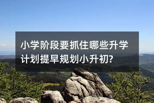 小學階段要抓住哪些升學計劃提早規劃小升初?