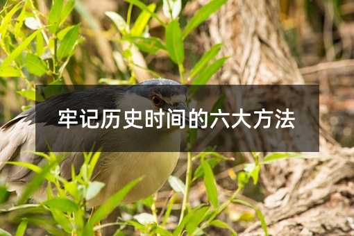 牢記歷史時間的六大方法