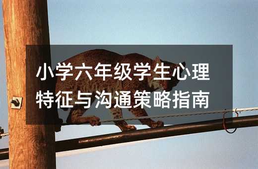 СW꼉Wcָͨ