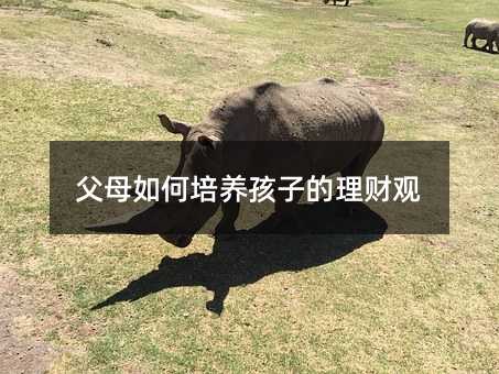 父母如何培養(yǎng)孩子的理財觀
