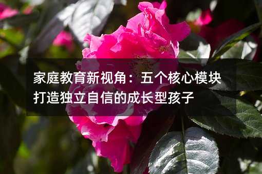 家庭教育新視角:五個核心模塊打造獨立自信的成長型孩子