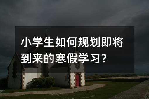 小學生如何規劃即將到來的寒假學習?
