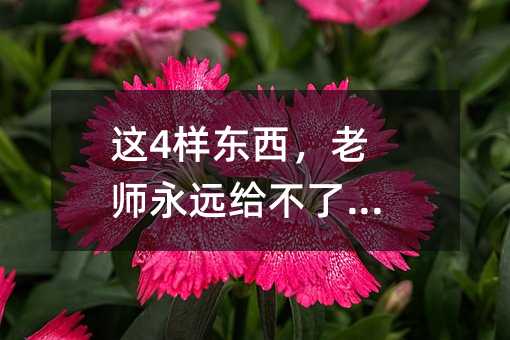 這4樣東西,老師永遠給不了孩子