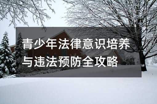 青少年法律意識(shí)培養(yǎng)與違法預(yù)防全攻略