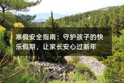 寒假安全指南:守護(hù)孩子的快樂假期,讓家長安心過新年
