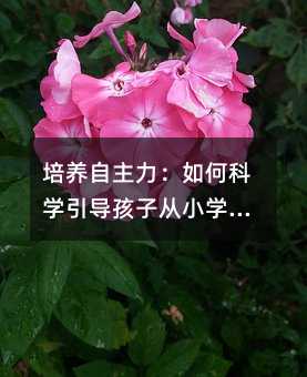 B(yng)οƌW(xu)(do)ӏСW(xu)x