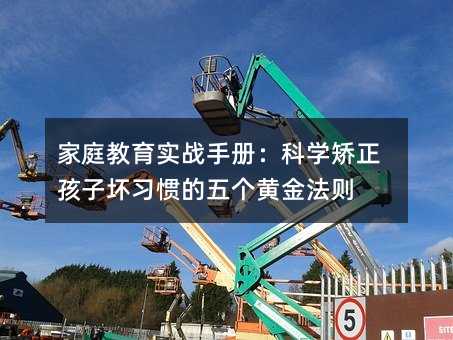 家庭教育實(shí)戰(zhàn)手冊(cè):科學(xué)矯正孩子壞習(xí)慣的五個(gè)黃金法則