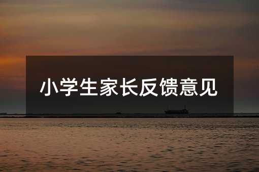 小學(xué)生家長反饋意見