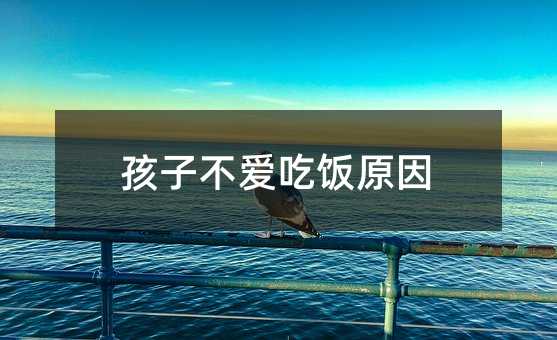 孩子不愛吃飯原因