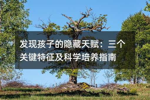 發(fā)現(xiàn)孩子的隱藏天賦:三個(gè)關(guān)鍵特征及科學(xué)培養(yǎng)指南