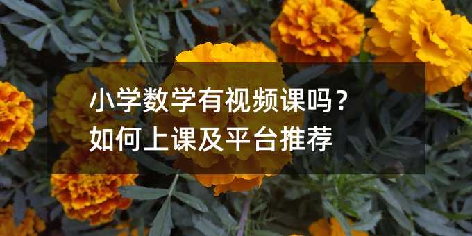 小學數學有視頻課嗎?如何上課及平臺推薦
