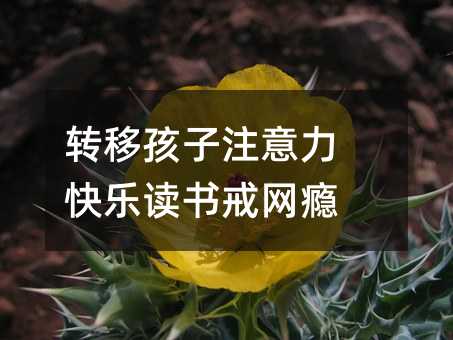 轉移孩子注意力 快樂讀書戒網癮