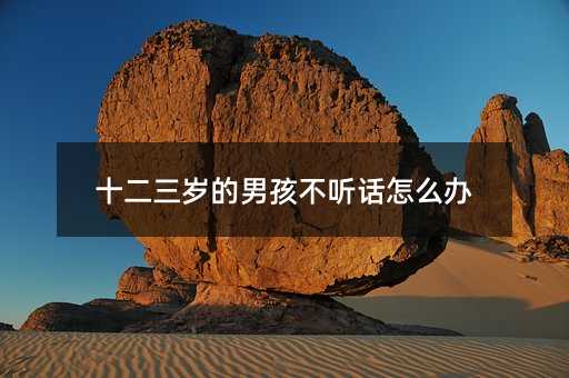 十二三歲的男孩不聽話怎么辦