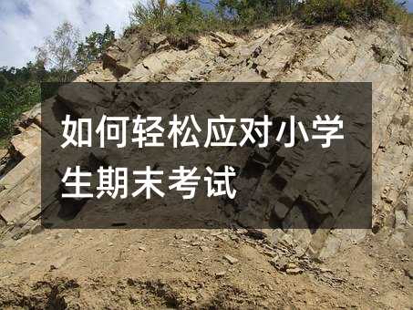 如何輕松應對小學生期末考試