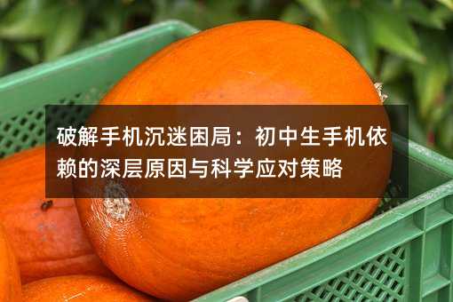 破解手機(jī)沉迷困局:初中生手機(jī)依賴的深層原因與科學(xué)應(yīng)對策略