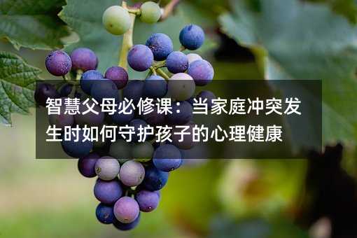 智慧父母必修課:當家庭沖突發生時如何守護孩子的心理健康