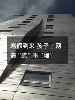 寒假到來 孩子上網需“疏”不“堵”