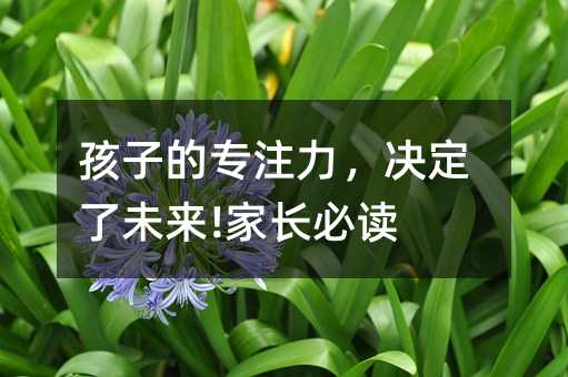 孩子的專注力,決定了未來!家長必讀